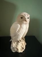 Prachtig sneeuwuil beeldje - gedetailleerd en elegant, Ophalen of Verzenden, Zo goed als nieuw, Dier