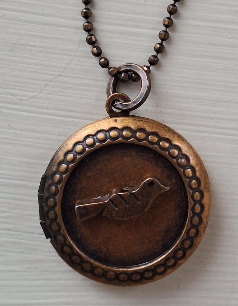 Johnny Loves Rosie vogeltjes medaillon aan lange ketting, Gebruikt, Overige kleuren, Ophalen of Verzenden, Overige materialen