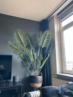 Palmplant Kunstplant 170cm, Ophalen