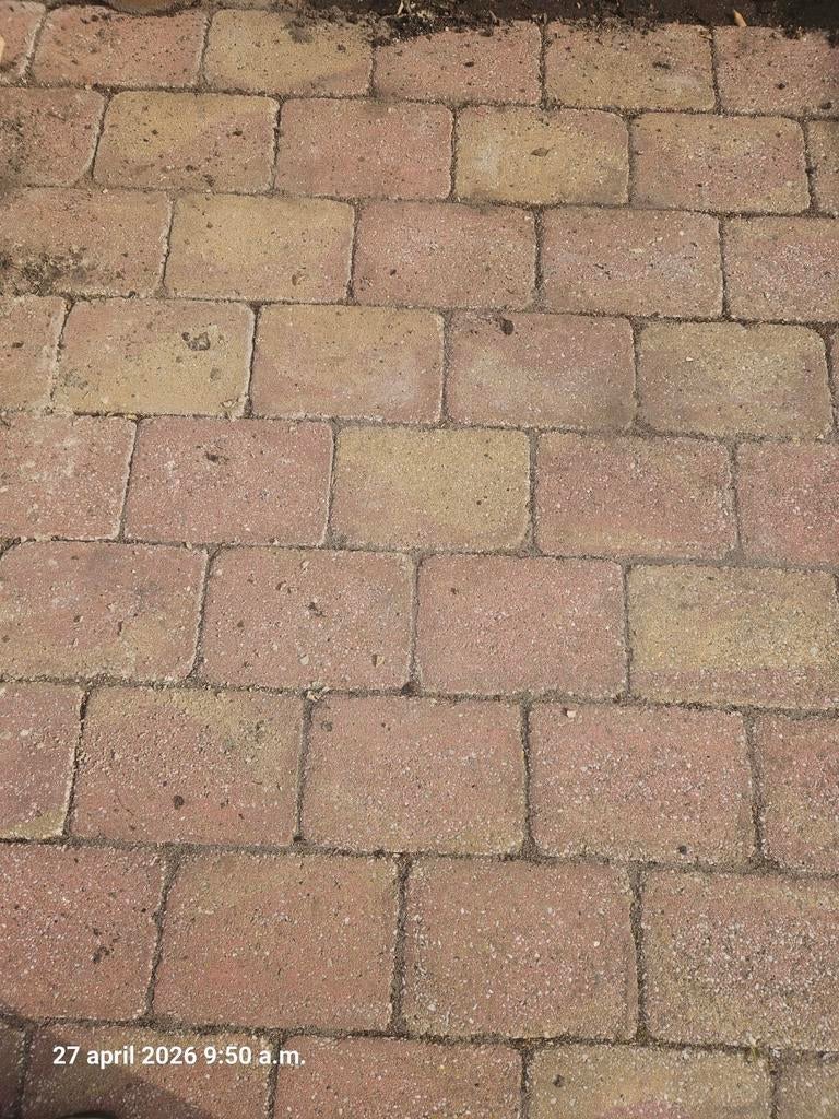 Gebruikte terrastegels, beton, ca. 50 m², Tuin en Terras, Tegels en Klinkers, Ophalen of Verzenden, Gebruikt, Beton, Terrastegels