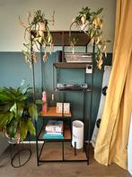 Mooie Boekenkast MOOS Jaxon - Eikenlook, Ophalen, Met plank(en), Eikenhout, 50 tot 100 cm