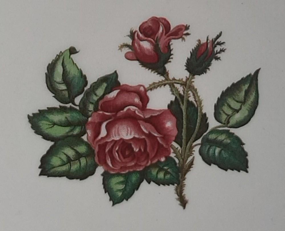 Wedgwood "Moss Rose" 100 delen; slechts € 125,-, Ophalen, Schilderij, 75 cm of meer