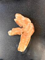 Boomstam salontafel blad ! Epoxy blad, Antiek en Kunst, Ophalen of Verzenden