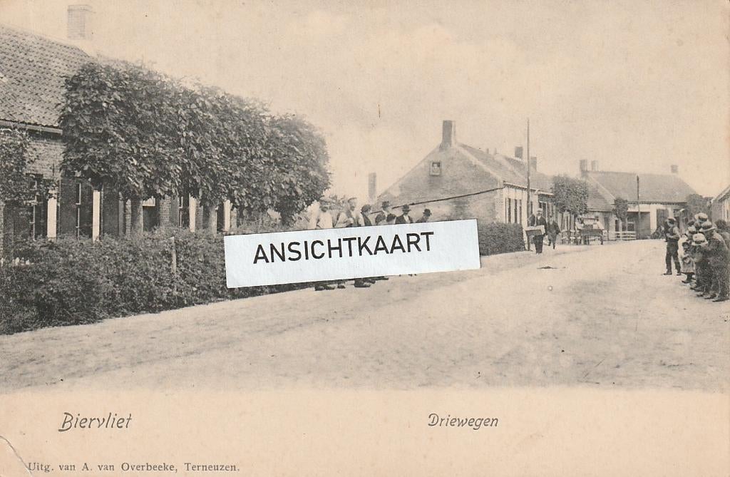 Ansichtkaart Biervliet Driewegen - volk, Verzenden, Voor 1920, Gelopen, Zeeland