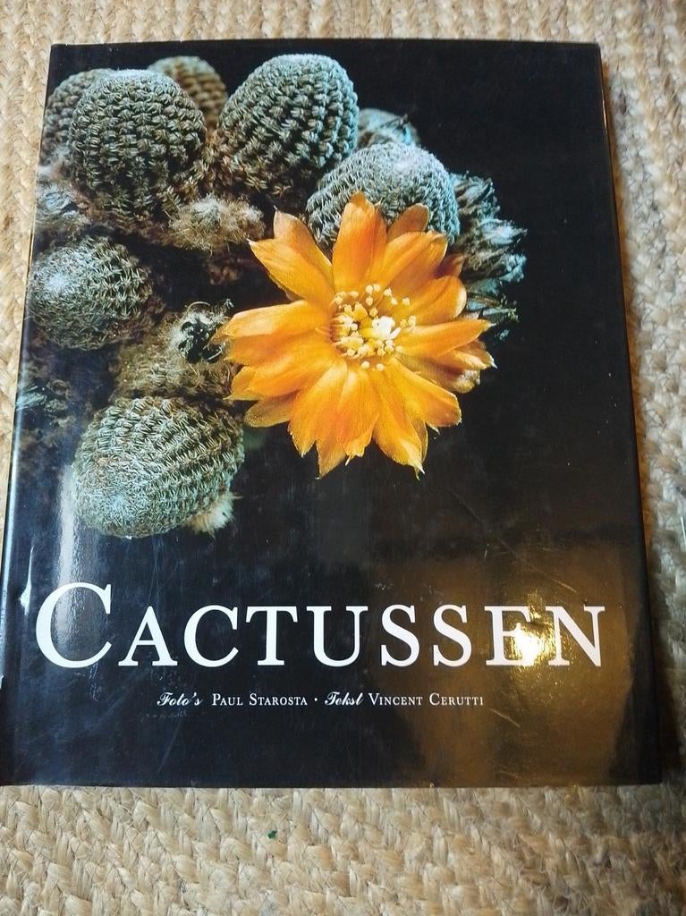 Cactussen - Paul Starosta & Vincent Cerutti, Ophalen of Verzenden, Zo goed als nieuw, Paul Starosta, Vincent Cerutti, Kamerplanten