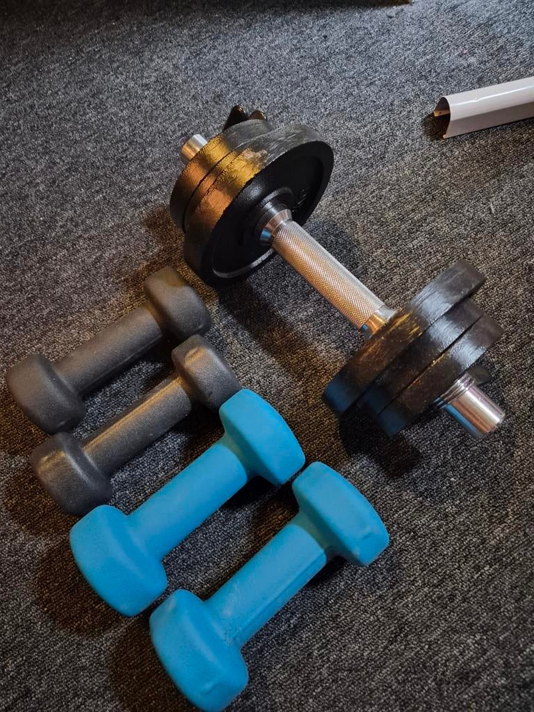 Diverse dumbbells: verstelbaar, 2kg en 3kg sets, Sport en Fitness, Ophalen, Gebruikt, Rug, Dumbbell