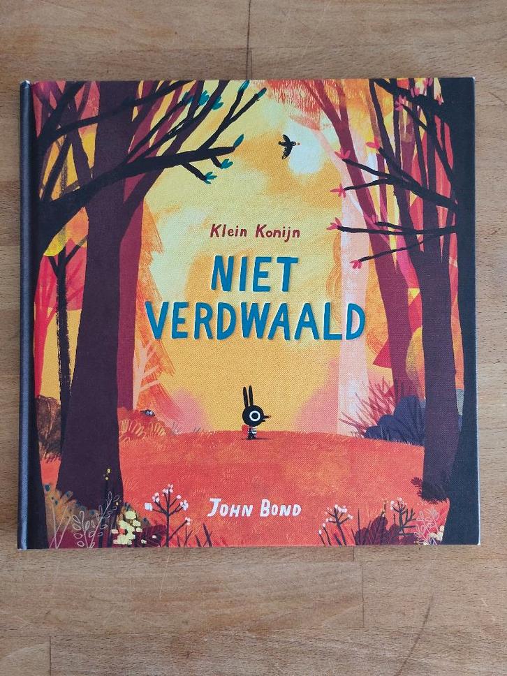 Klein Konijn - Niet verdwaald, Boeken, Kinderboeken | Kleuters, Zo goed als nieuw, Sprookjes, Ophalen of Verzenden