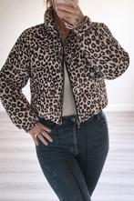 Jas Gewatteerd Panterprint, Kleding | Dames, Jassen | Winter, Ophalen of Verzenden, Nieuw, Maat 42/44 (L), Zwart