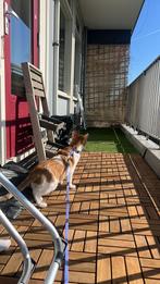 Houten terrastegels voor balkon of tuin, Tuin en Terras, Gebruikt, Hout, Terrastegels, 5 tot 10 m²