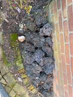 Lava Rotsen voor Tuin of Vijverdecoratie, Gebruikt, Verzenden, Kei, Lava