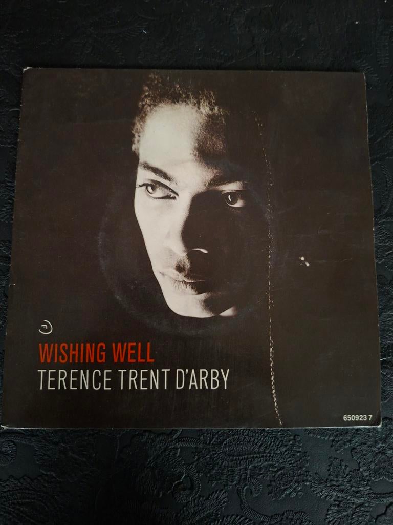 Terence trent D'arby - Wishing well, Ophalen of Verzenden, Zo goed als nieuw, Pop