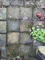 Cobblestones / klinkers gratis op te halen - zsm, Ophalen, Gebruikt, Klinkers, Minder dan 5 m²