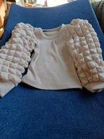 Meisjes trui maat 104, Kinderen en Baby's, Kinderkleding | Maat 104, Ophalen of Verzenden, Gebruikt, Meisje, Trui of Vest