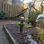 Zonnewijzer, Meerdere dieren