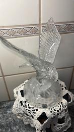 Glazen adelaar, Ophalen of Verzenden