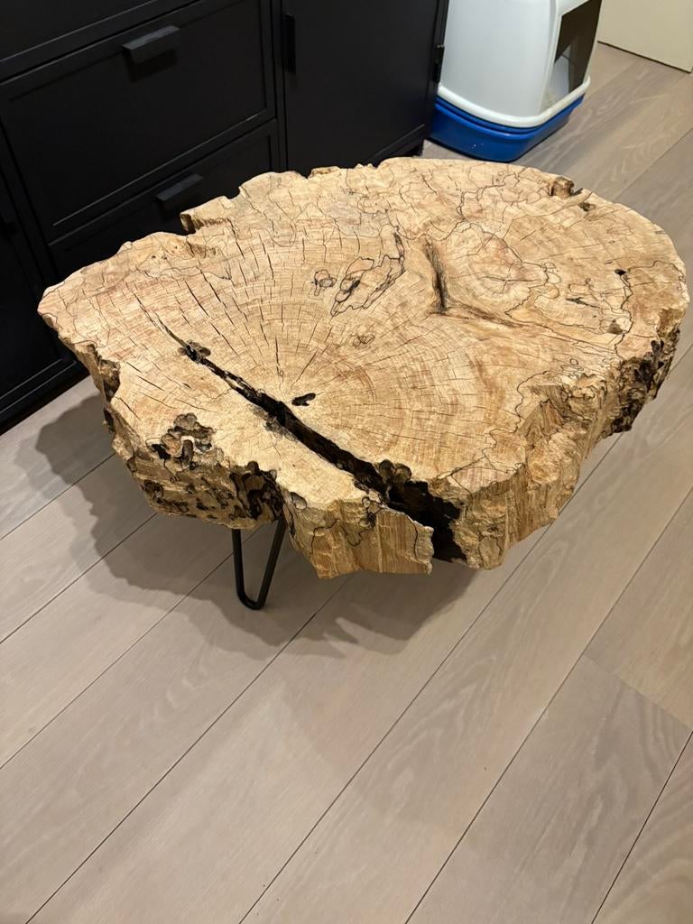 Boomstamtafel boomstam salontafel/bijzettafel, Ophalen, 50 tot 100 cm, Zo goed als nieuw, Minder dan 50 cm