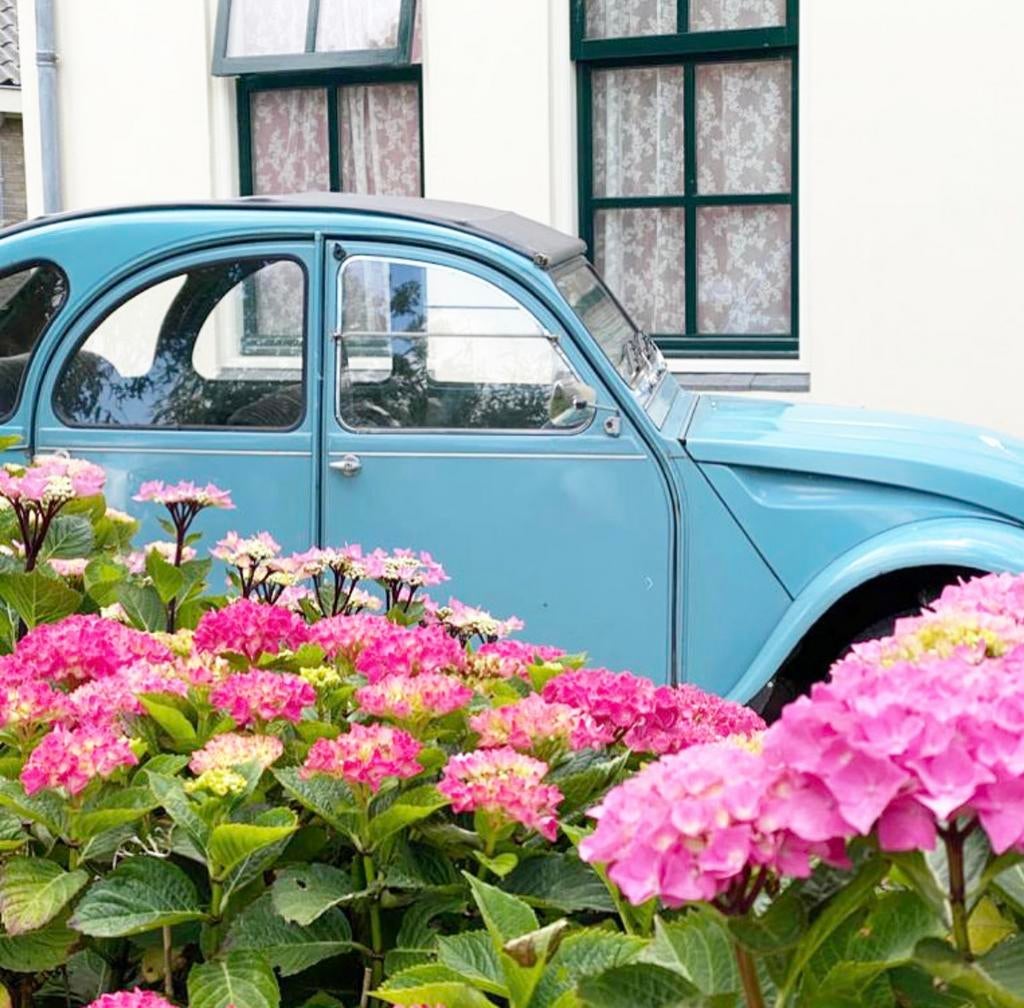 2CV4 Citroën Citroen 1972 Blauw, Auto's, Voorwielaandrijving, 31 pk, 602 cc, 4 cilinders