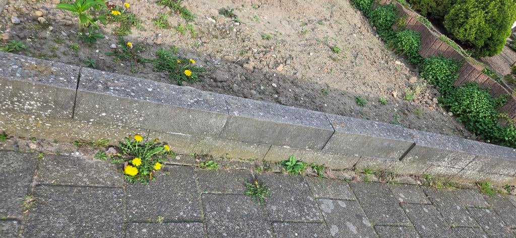 Tuintegels/blokken gratis ophalen, Tuin en Terras, Tegels en Klinkers, Ophalen, Gebruikt, Beton, Terrastegels