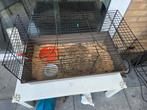 Caviakooi, Dieren en Toebehoren, Knaagdieren en Konijnen | Hokken en Kooien, Rat, Kooi, Gebruikt, 75 tot 110 cm