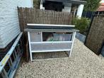 Konijnenhok te koop, Dieren en Toebehoren, Knaagdieren en Konijnen | Hokken en Kooien, Ophalen, 75 tot 110 cm, Hok, Minder dan 60 cm