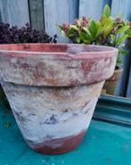 Oude grote terracotta pot zeer mooi patina 31h-35w Miekje, Ophalen, Steen, ., Rond