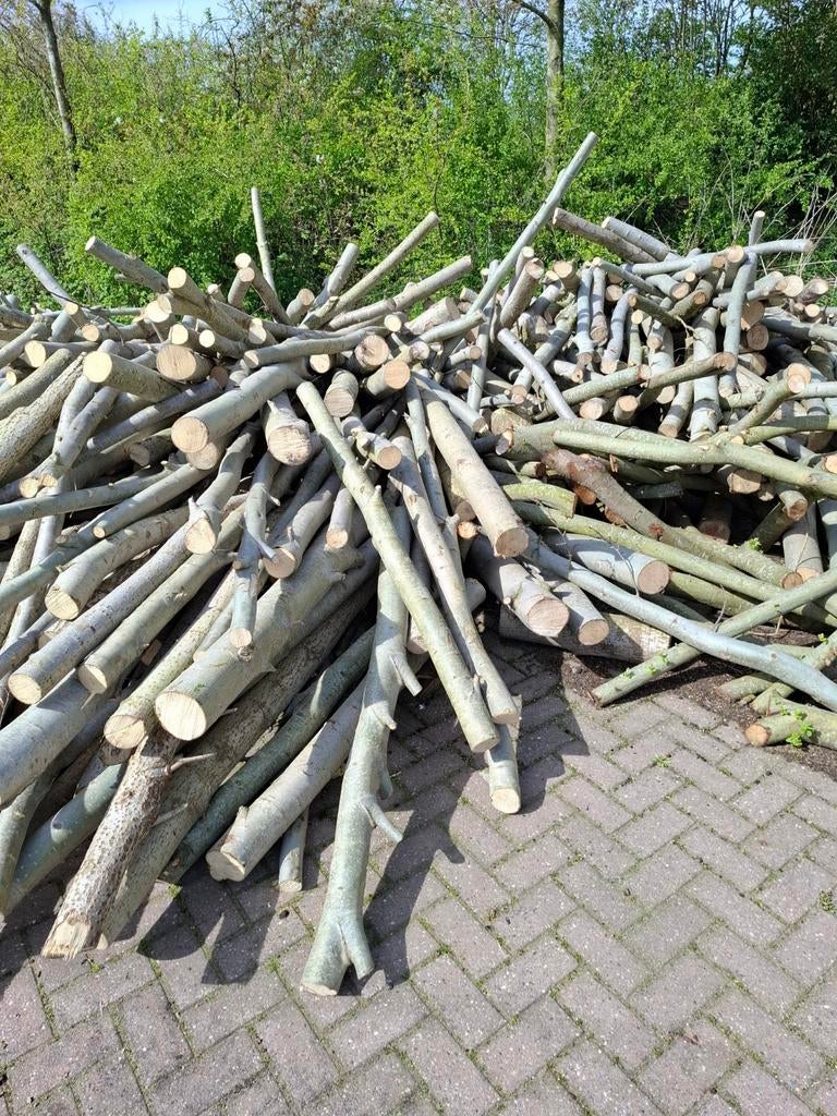 Haardhout op stam, Tuin en Terras, Haardhout, Ophalen of Verzenden