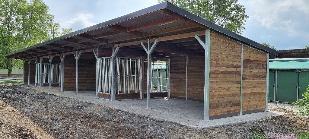 Open stal voor paarden & Weidehut - Paardenonderstand, Weidegang
