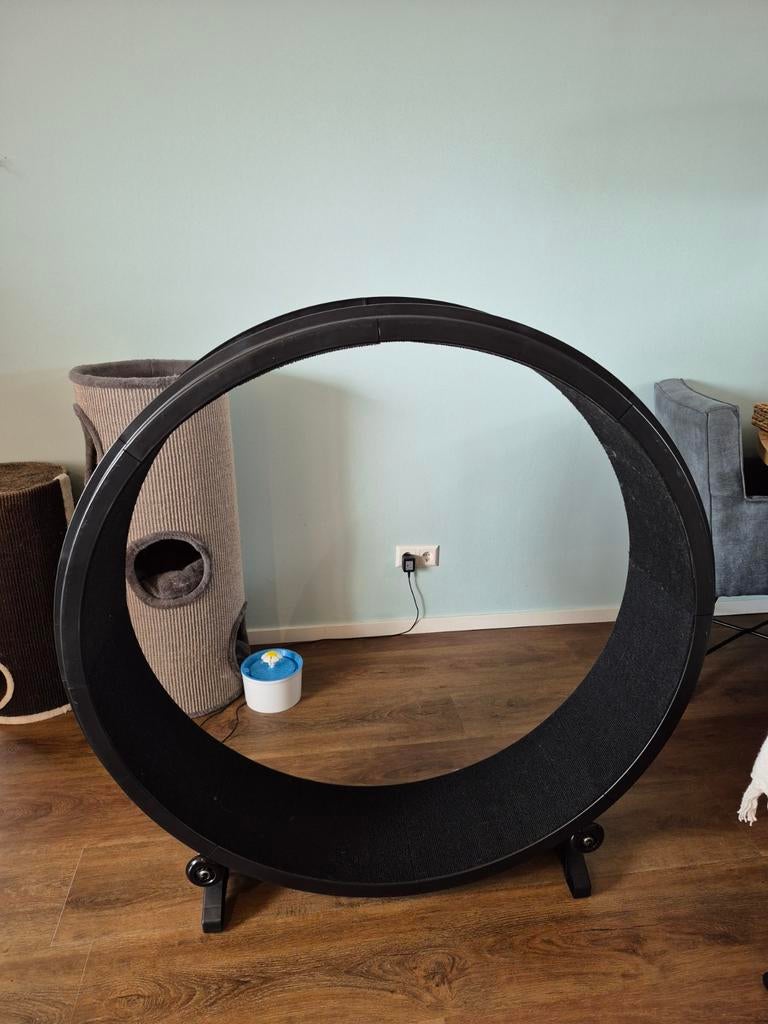 Groot loopwiel voor katten - 115 cm diameter, Ophalen of Verzenden, Zo goed als nieuw