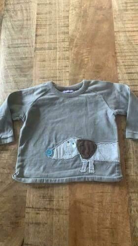 Leuk shirt maat 74, Kinderen en Baby's, Babykleding | Maat 74, Ophalen of Verzenden, Gebruikt, Jongetje, Shirtje of Longsleeve