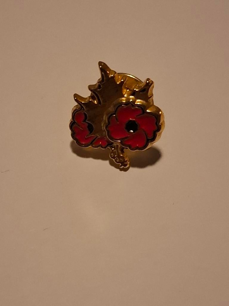 Canadese pin, Verzamelen, Militaria | Tweede Wereldoorlog, Ophalen of Verzenden, Nederland, Embleem of Badge