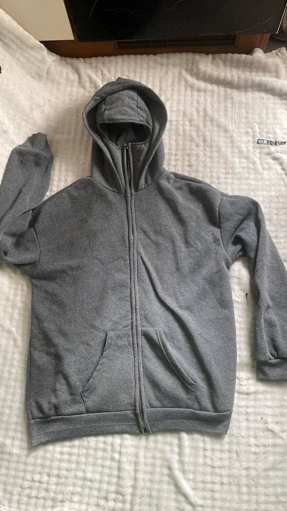 Mask Hoddie heren, Ophalen, Zo goed als nieuw, Maat 56/58 (XL), Grijs