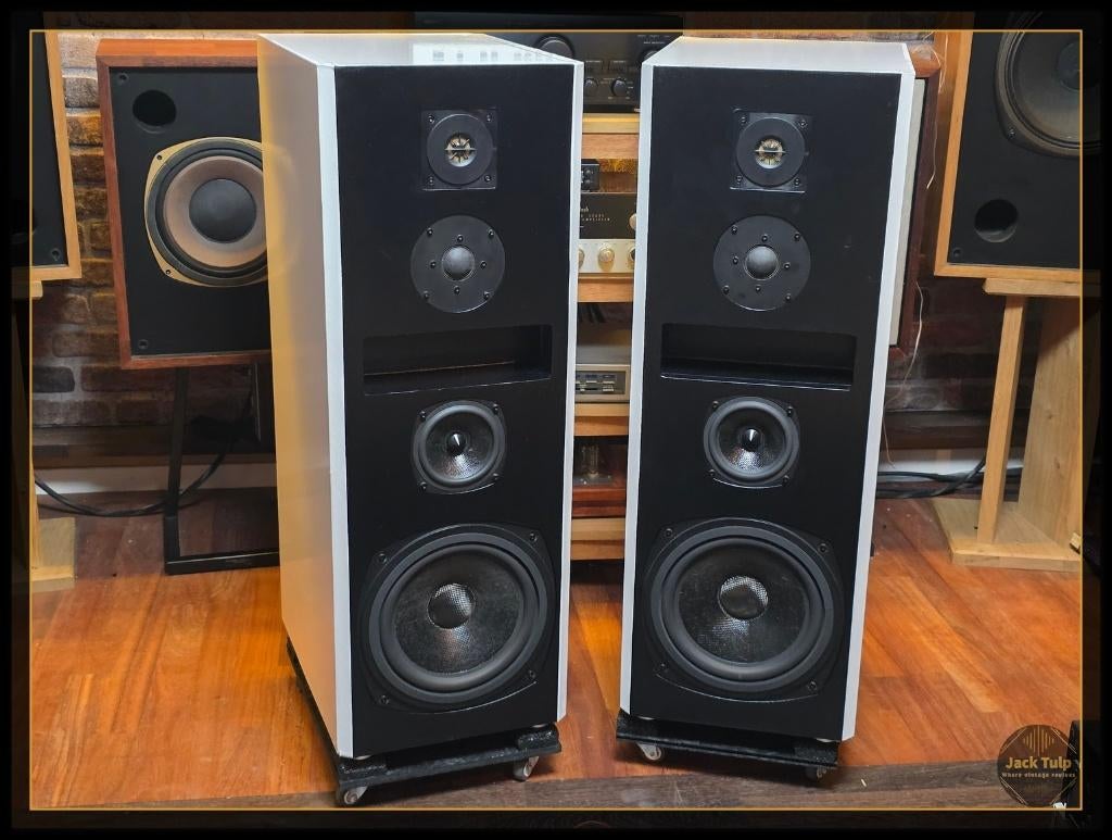 Aanbieding! Rogers Monitor RM40 TL 5.0, ., Overige typen, ., Minder dan 60 watt