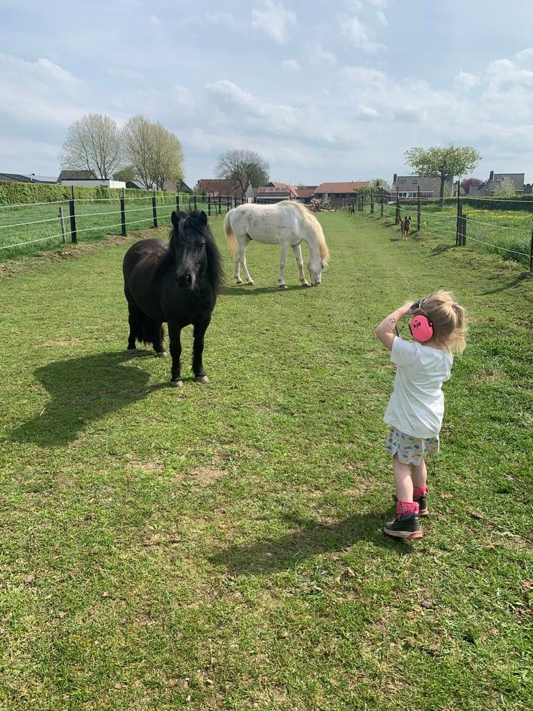 Gezocht: weliland/ paardenweide/ grasland.