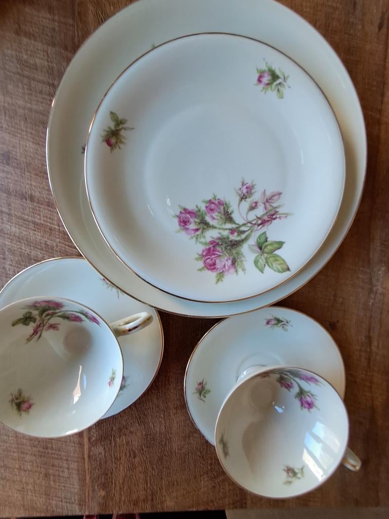Antiek servies 2 delig rozen, Antiek en Kunst, Antiek | Servies los, Ophalen of Verzenden