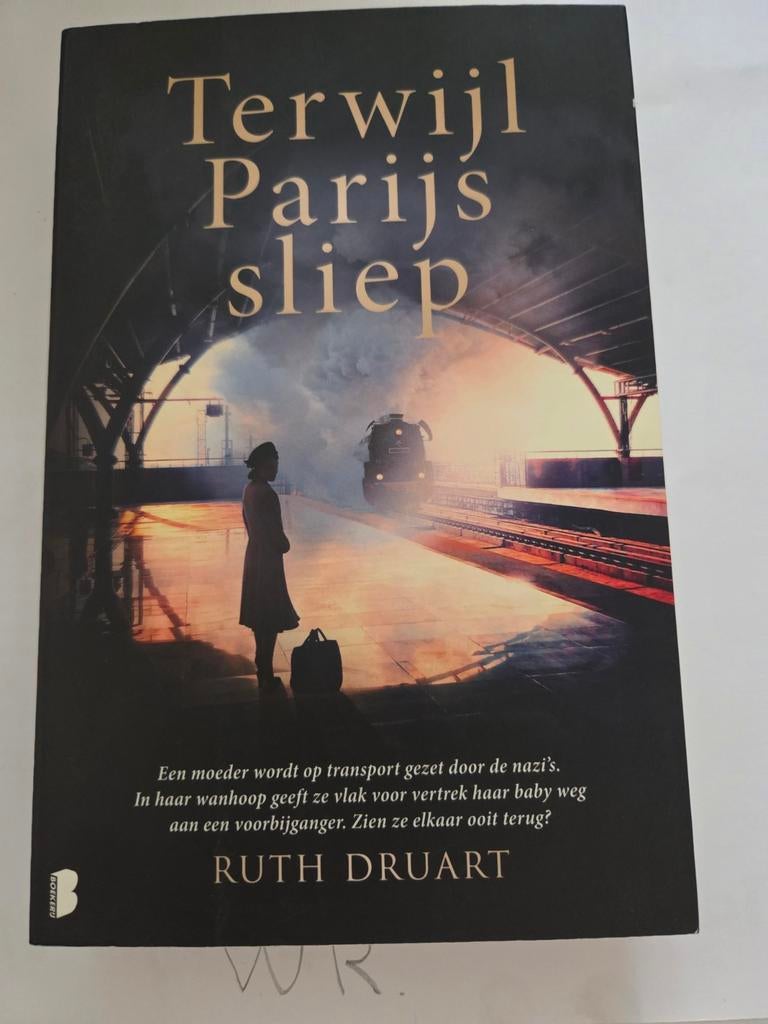 Boek: Terwijl Parijs sliep - Ruth Druart, Boeken, Ophalen of Verzenden