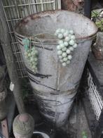 antieke druiven plukmand vn zink heel zeldzaam, Antiek en Kunst, Ophalen of Verzenden