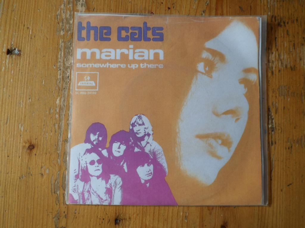 Cats, Ophalen of Verzenden, Gebruikt, Pop