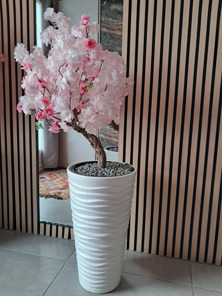 Bloesemboom €80, Ophalen, Nieuw