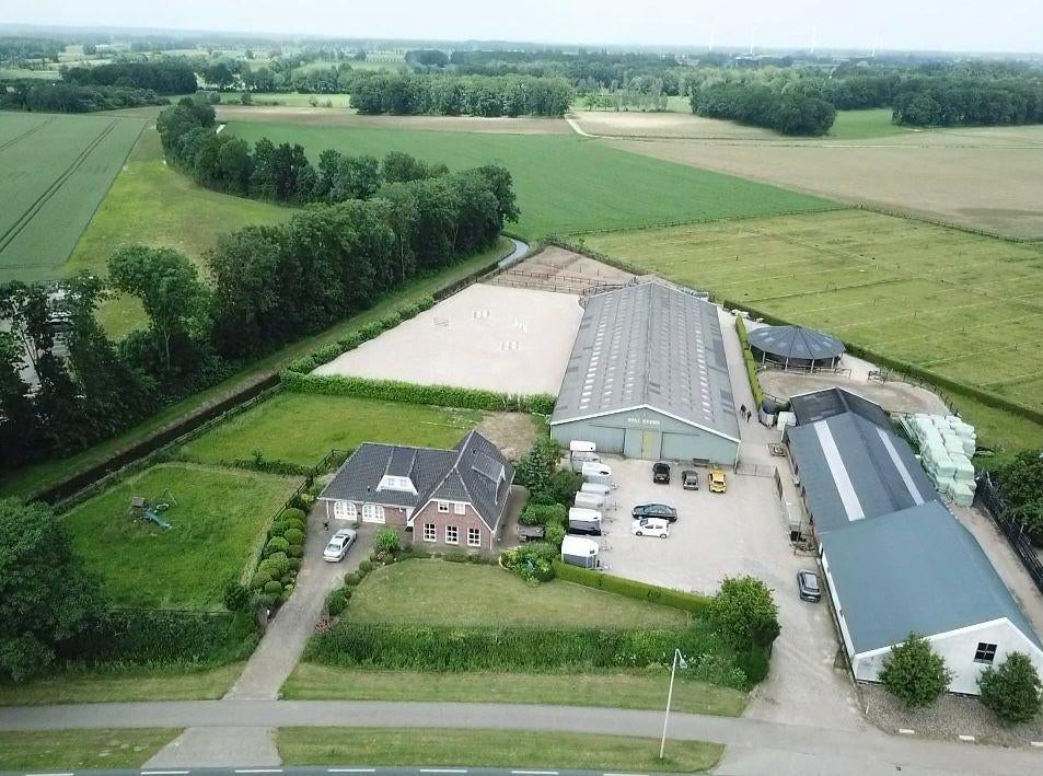 Te Huur pensionstalling, Dieren en Toebehoren, Weidegang