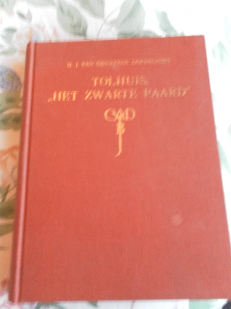 tolhuis het zwarte paard hj v nijnatten doffegnies, Boeken, Hj v nijnatten doffegnies, Ophalen of Verzenden, Zo goed als nieuw