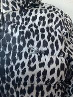 Cars Jeans jas met panterprint, maat 36/38, Ophalen of Verzenden, Nieuw, Maat 36 (S), Zwart