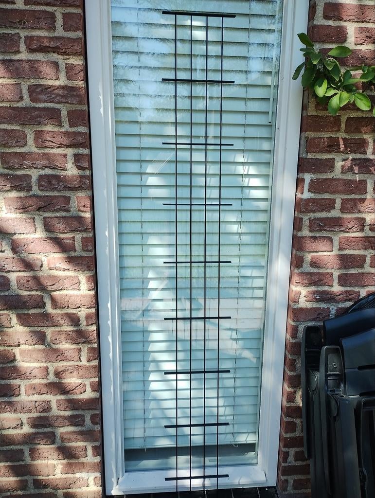 Modern Planten Klimrek Zwart - 180x24 cm, Tuin en Terras, Ophalen, Nieuw