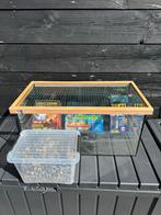 Aquarium voor schildpadden met toebehoren, Dieren en Toebehoren, Ophalen, Leeg aquarium
