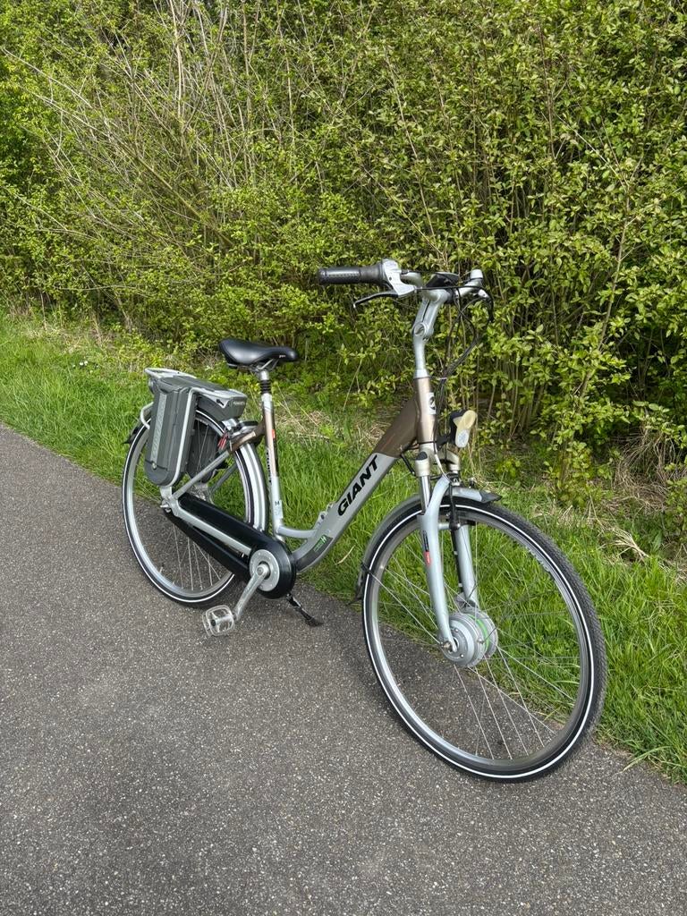 Elektrische Giant Twist Double Hybrid, Minder dan 47 cm, Ophalen, Zo goed als nieuw, Overige merken