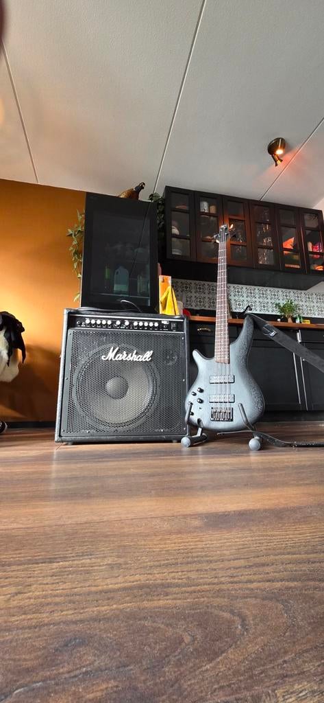 Ibanez Basgitaar, basversterker accessoires - complete set, Ophalen, Nieuw, Elektrisch