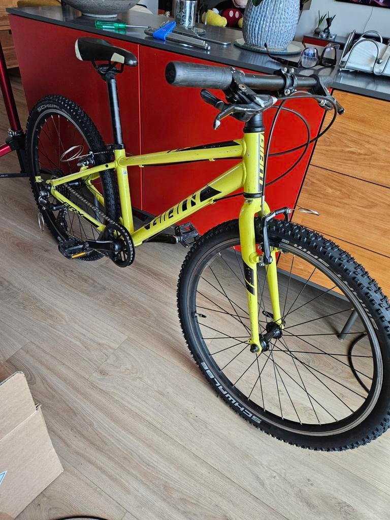 Giant ARX, Minder dan 47 cm, Ophalen of Verzenden