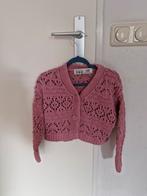 Vestje maat 110, Meisje, Trui of Vest, Ophalen of Verzenden, Zo goed als nieuw