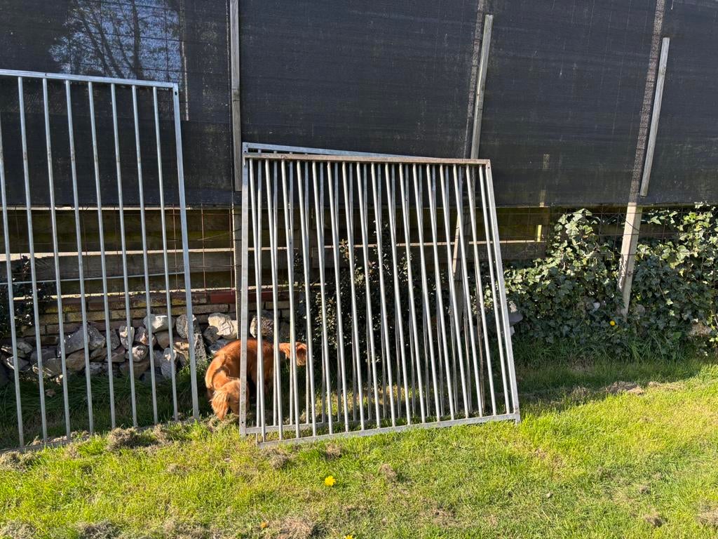 Kennelpanelen, Dieren en Toebehoren, Hondenhokken, Ophalen, Hondenkennel, 100 cm of meer, 110 cm of meer