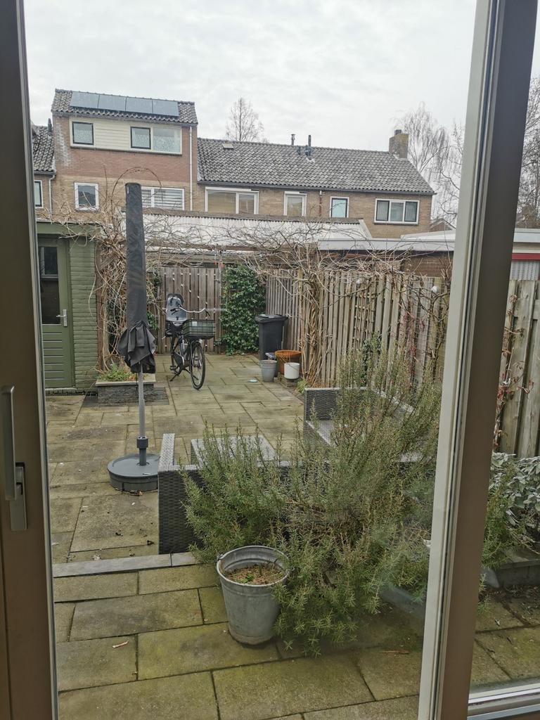 Gratis tuintegels, diverse formaten (dit weekend afhalen), Ophalen, Gebruikt, Terrastegels