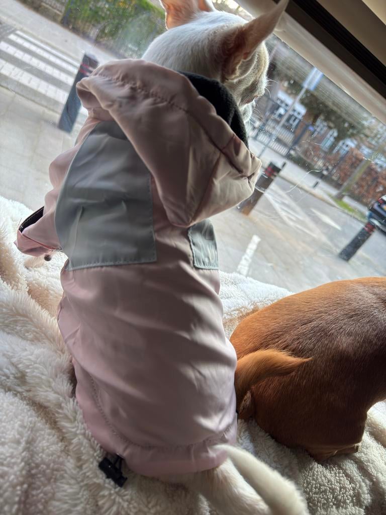 NEW Trendy Roze/Grijze Hondenjas (S/M), Ophalen, Nieuw, Hondenjas